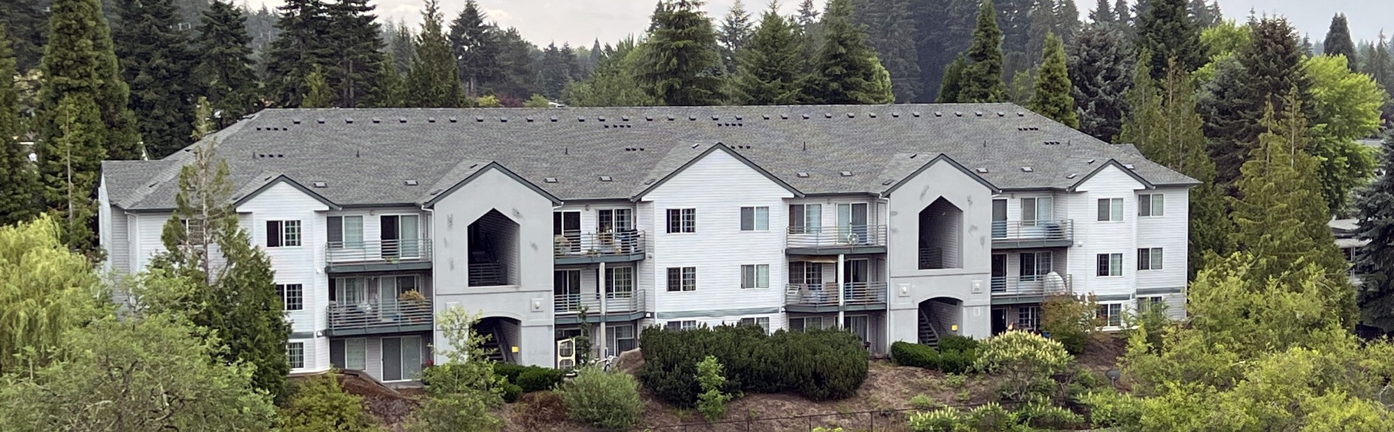 trendy roof installed on a home in cornelius