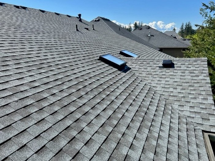 Quality roof and skylight installation on multi-family home in the Pacific Northwest