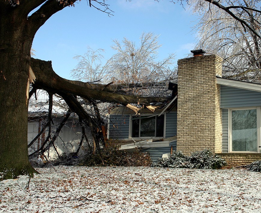 Tree falling onto house