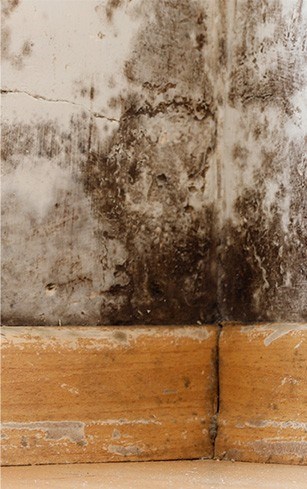 surveying interior health of a home during a roof inspection in Vancouver-Portland Area