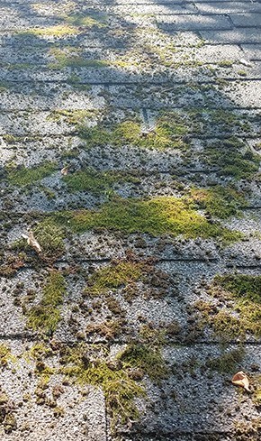 moss and debris found during a roof inspection in Vancouver-Portland Area